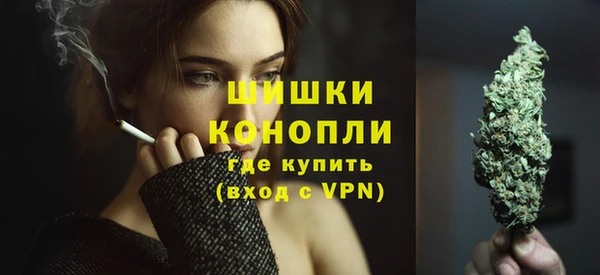ПСИЛОЦИБИНОВЫЕ ГРИБЫ Гусь-Хрустальный