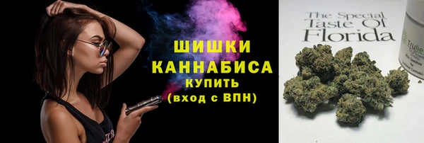 ПСИЛОЦИБИНОВЫЕ ГРИБЫ Гусь-Хрустальный