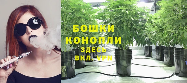 ПСИЛОЦИБИНОВЫЕ ГРИБЫ Гусь-Хрустальный