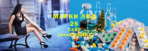 apvp Дмитриев