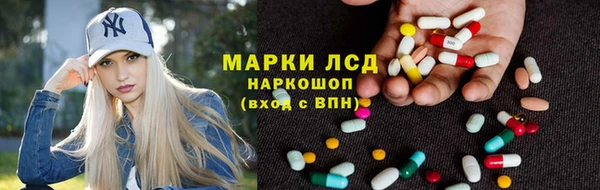 apvp Дмитриев