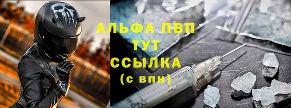 стаф Дмитровск