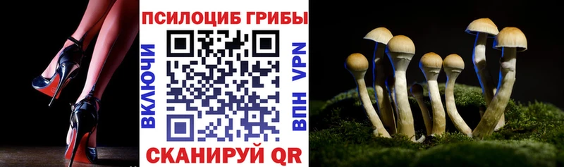 Псилоцибиновые грибы Psilocybine cubensis Льгов